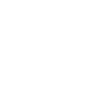 axo (3)